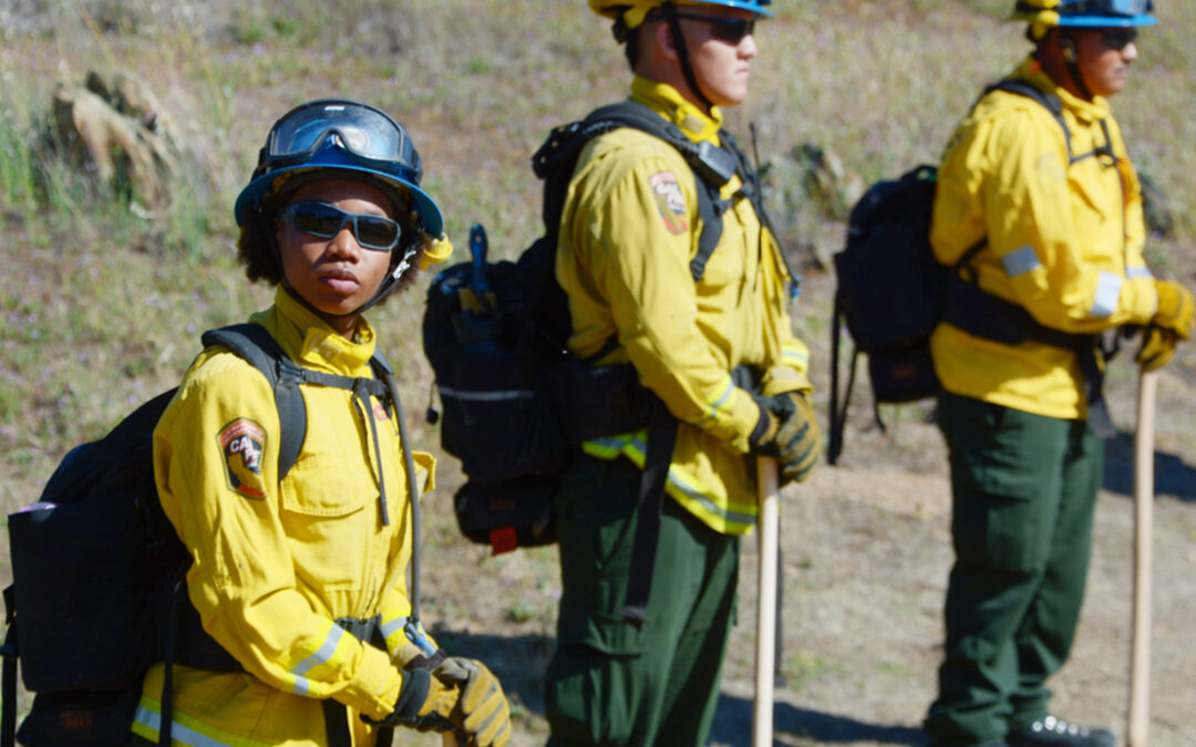 Corpsmembers Overcome Fears While Heightening Their Forestry Skills