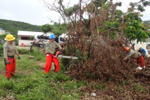 Corpsmember uses chain saw to cut up downed tree