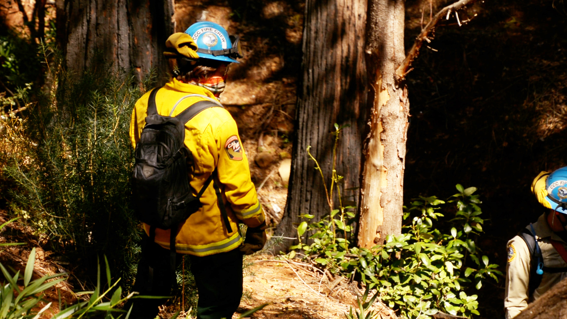 female corpsmember in yellow nomex stands on hillside during fuel reduction project