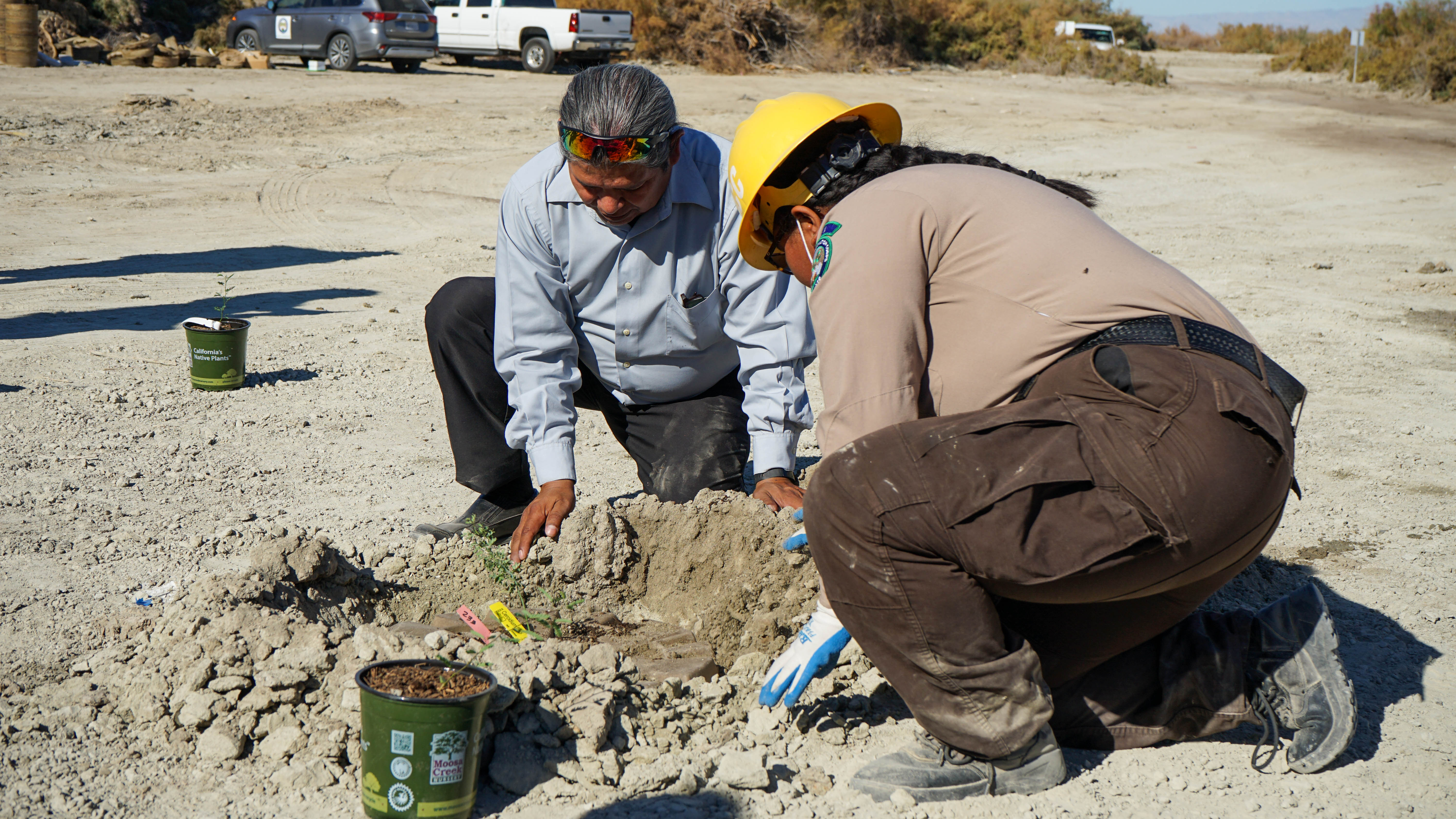 man and woman plant tree