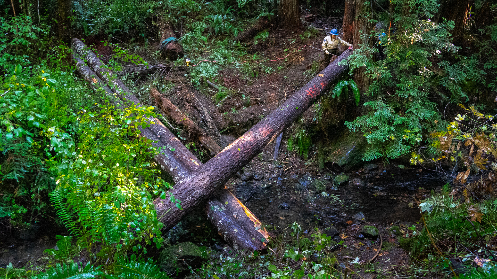 A Corpsmember pins the top of a log into place. 