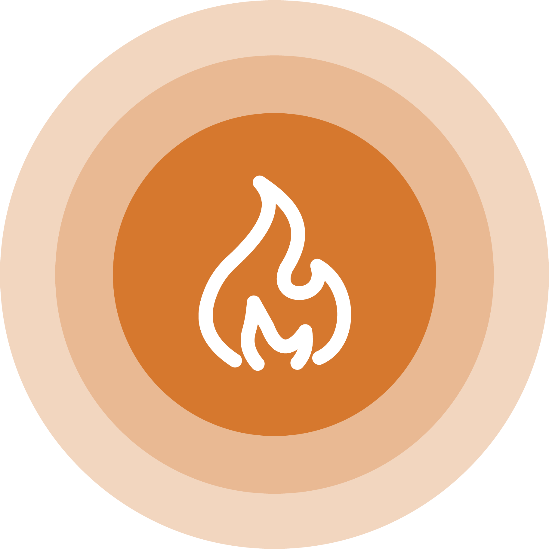 Fire icon