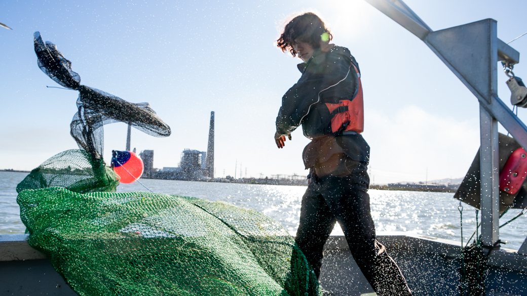 A CCC Corpsmember casts a net into the Sacramento-San Joaquin Delta.