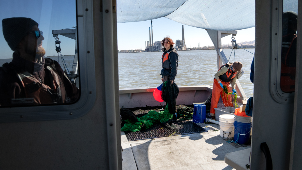 Josafat Ismael Alvarez III prepares to cast a net into the Delta, helping the U.S. Fish & Wildlife Service monitor fish species of concern.