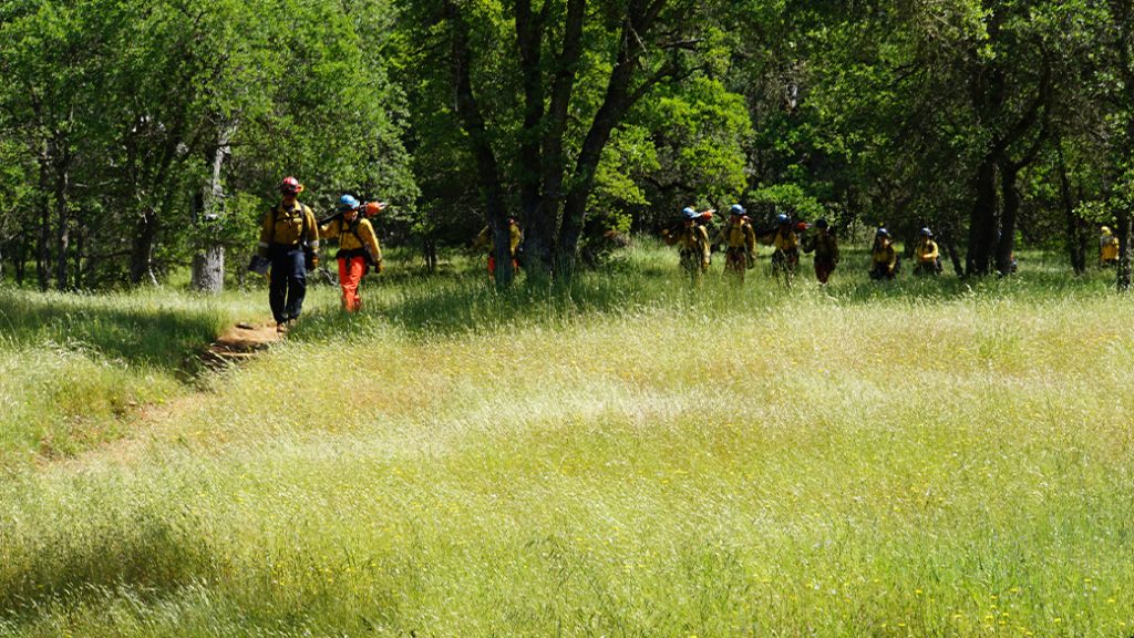 Corpsmembers with the Placer 1 fire crew cut fire line with hand tools as flames from the Dixie Fire approach in 2021.