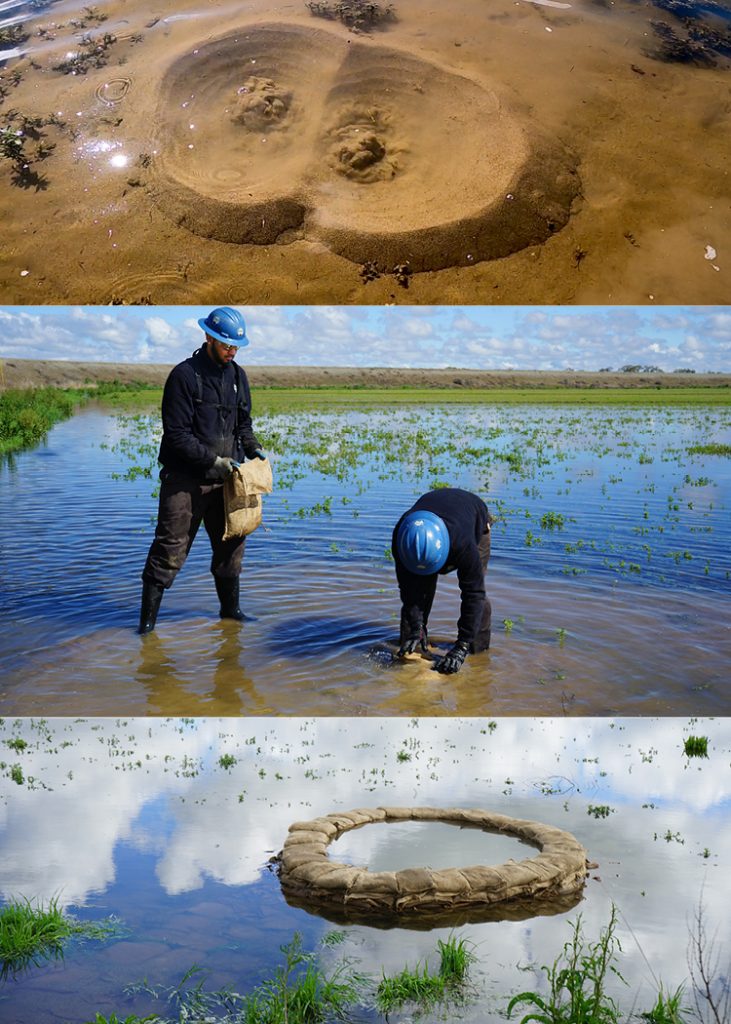 Corpsmembers add sandbags in a ring around a boil to prevent a levee from eroding.