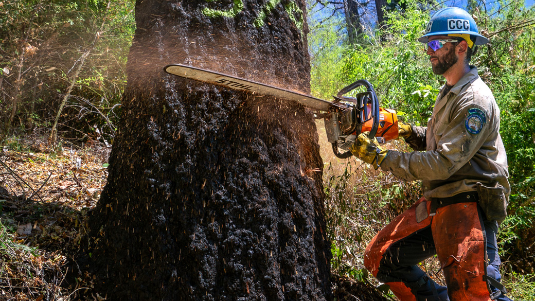 Corpsmembers with the Placer 1 fire crew cut fire line with hand tools as flames from the Dixie Fire approach in 2021.